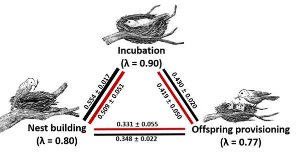 W020231103494144132943.jpg