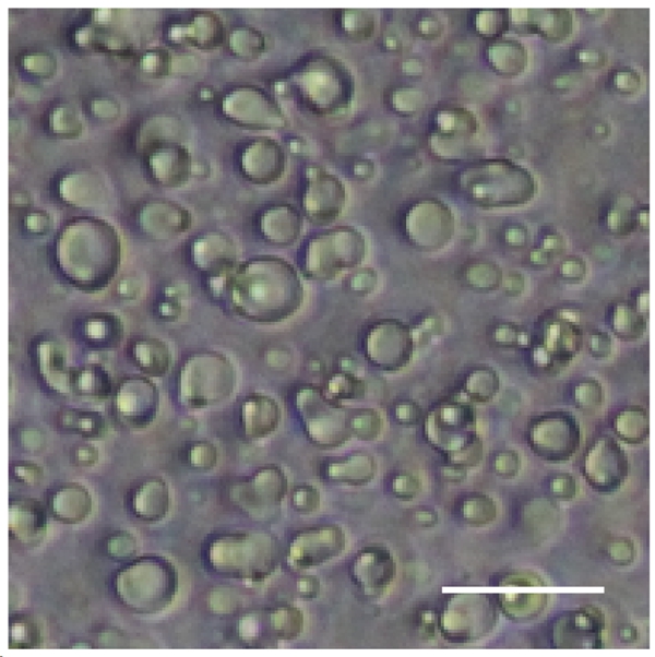 W020231108600537468969.jpg